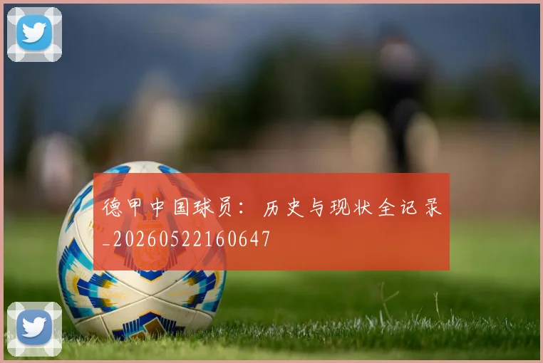 德甲中国球员：历史与现状全记录_20260522160647