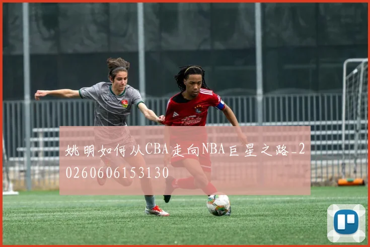 姚明如何从CBA走向NBA巨星之路_20260606153130