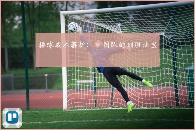 排球战术解析:中国队的制胜法宝