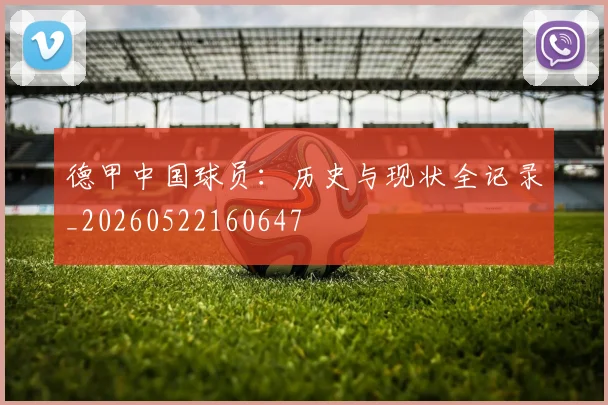 德甲中国球员:历史与现状全记录_20260522160647